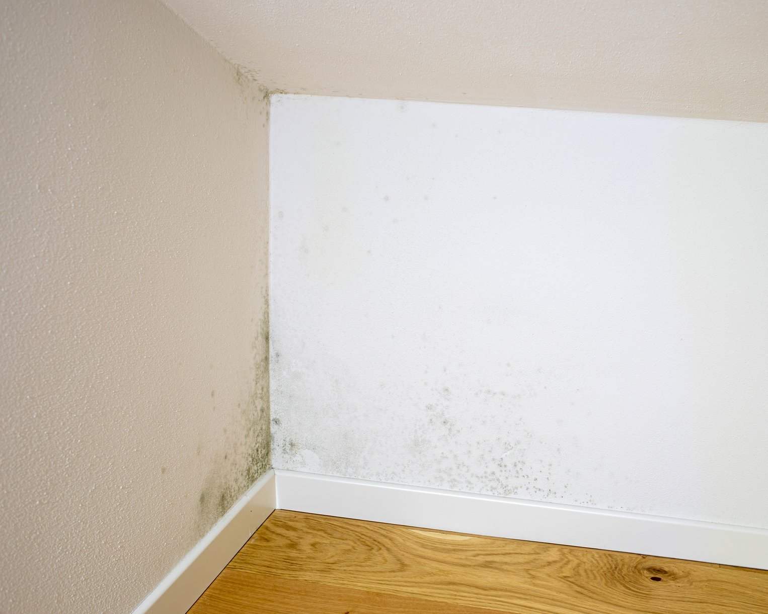 Water damage visible on a white wall and corner of a room with discoloration near the baseboard and wood flooring.